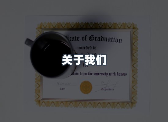 关于我们